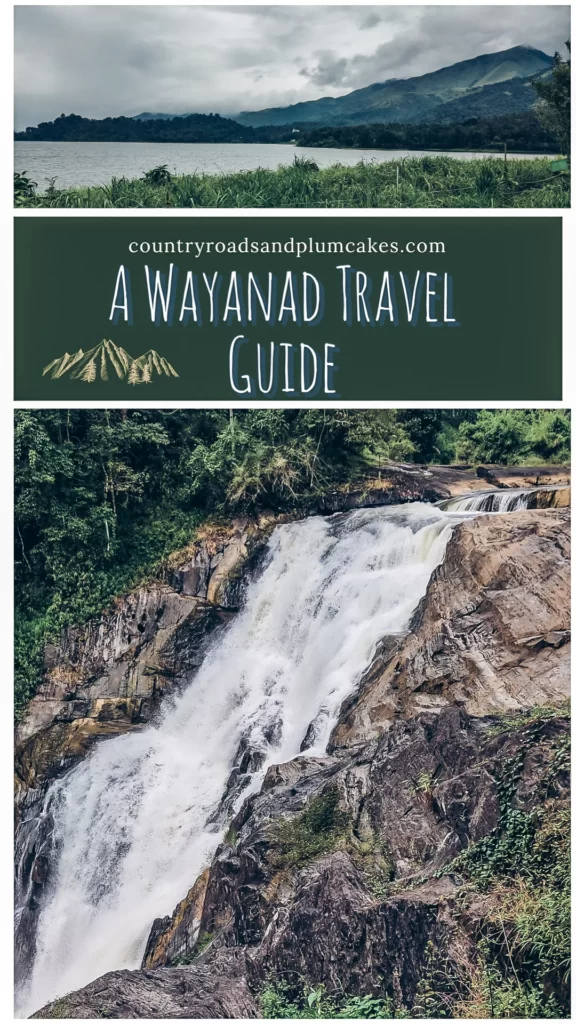 Wayanad travel guide and places to visit