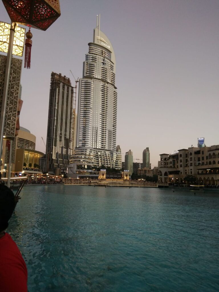 the Dubai mall