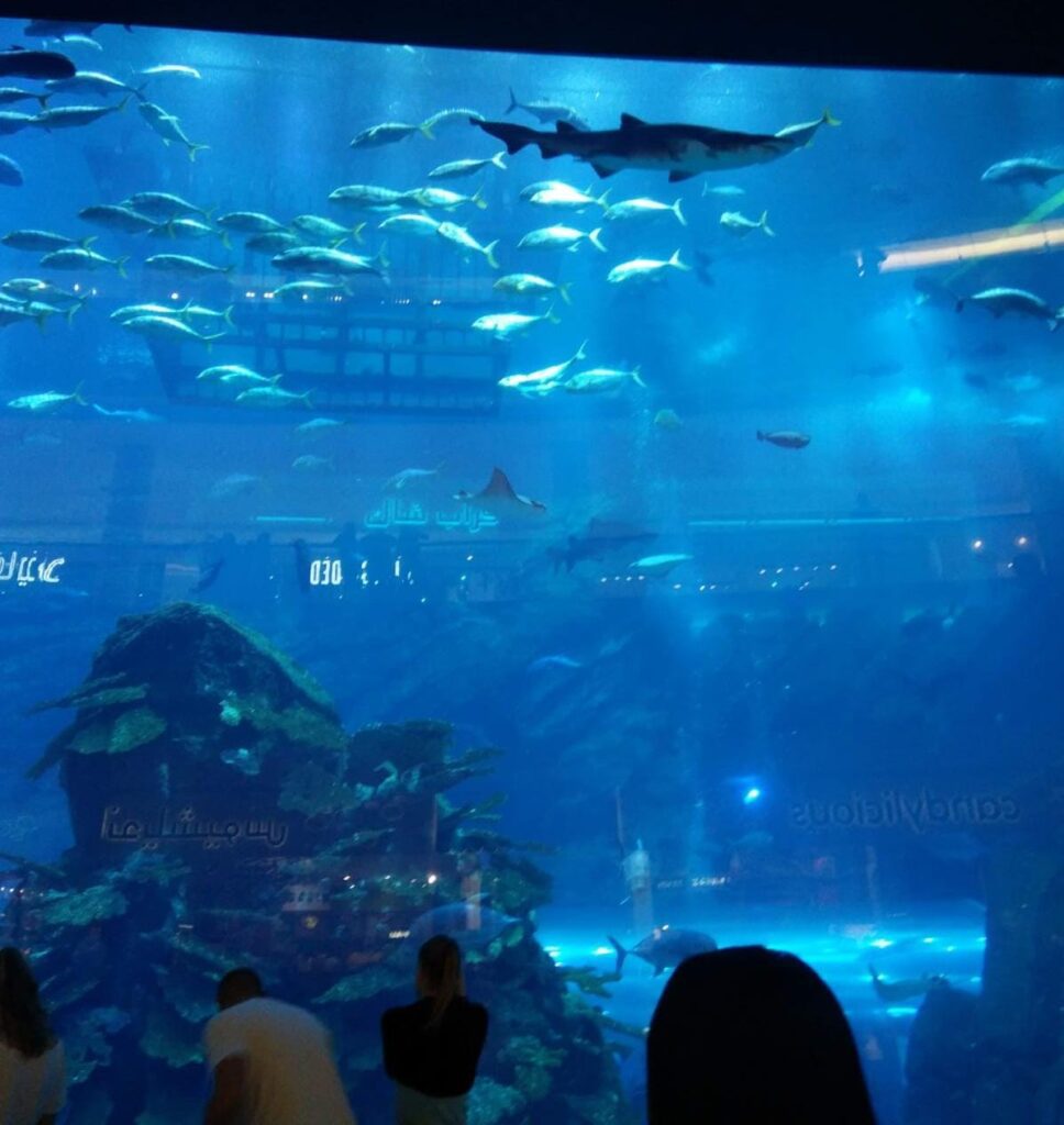 Aquarium in dubai mall